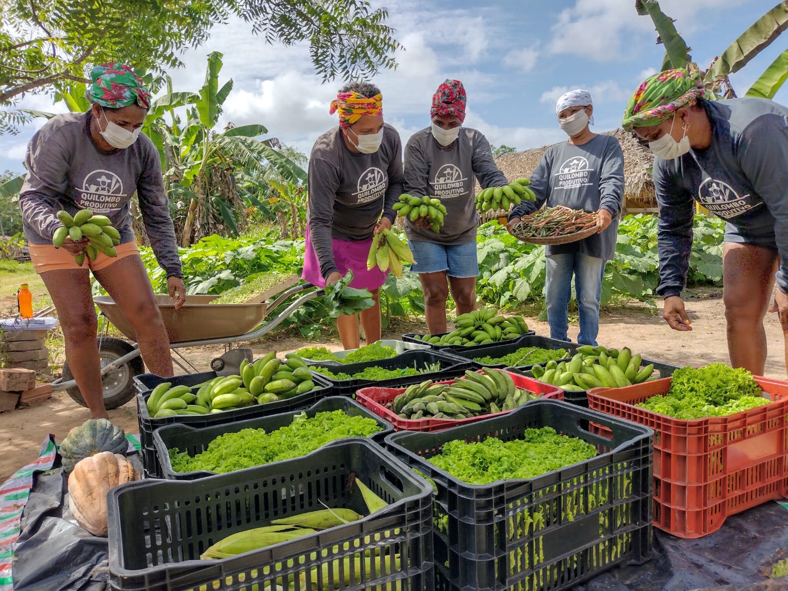 Produtos agrícolas são preparados para parceria com o PNAE