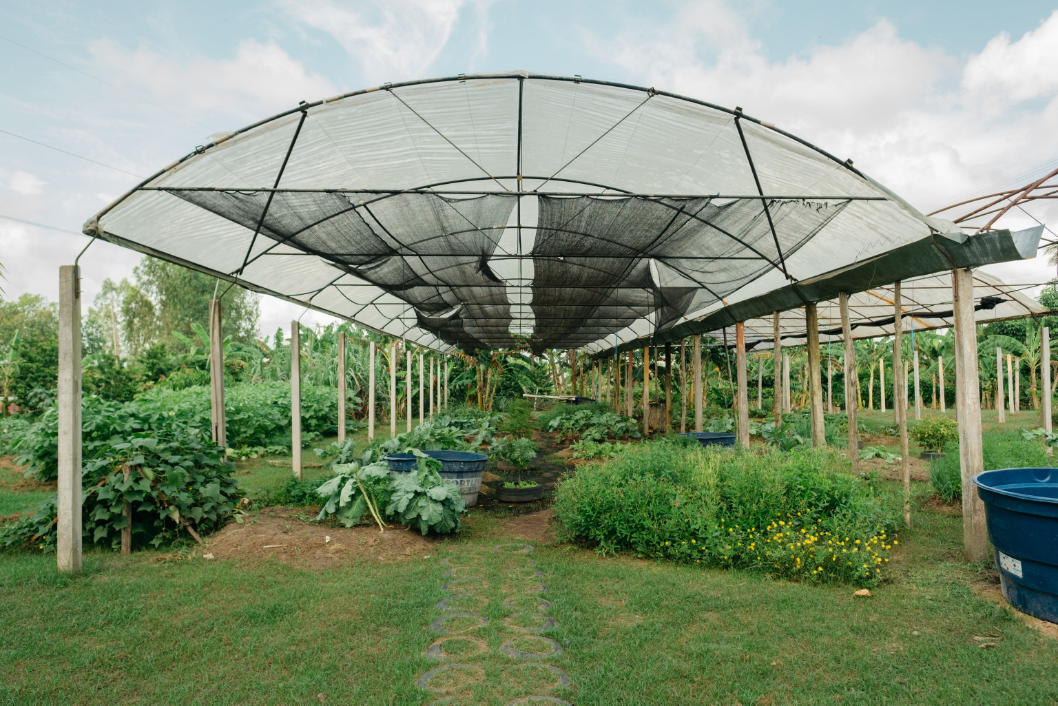 Images of female teachers and students participating in the program learning and teaching the preparation of food produced in the greenhouse. Picture of the greenhouse with vegetables showing. 