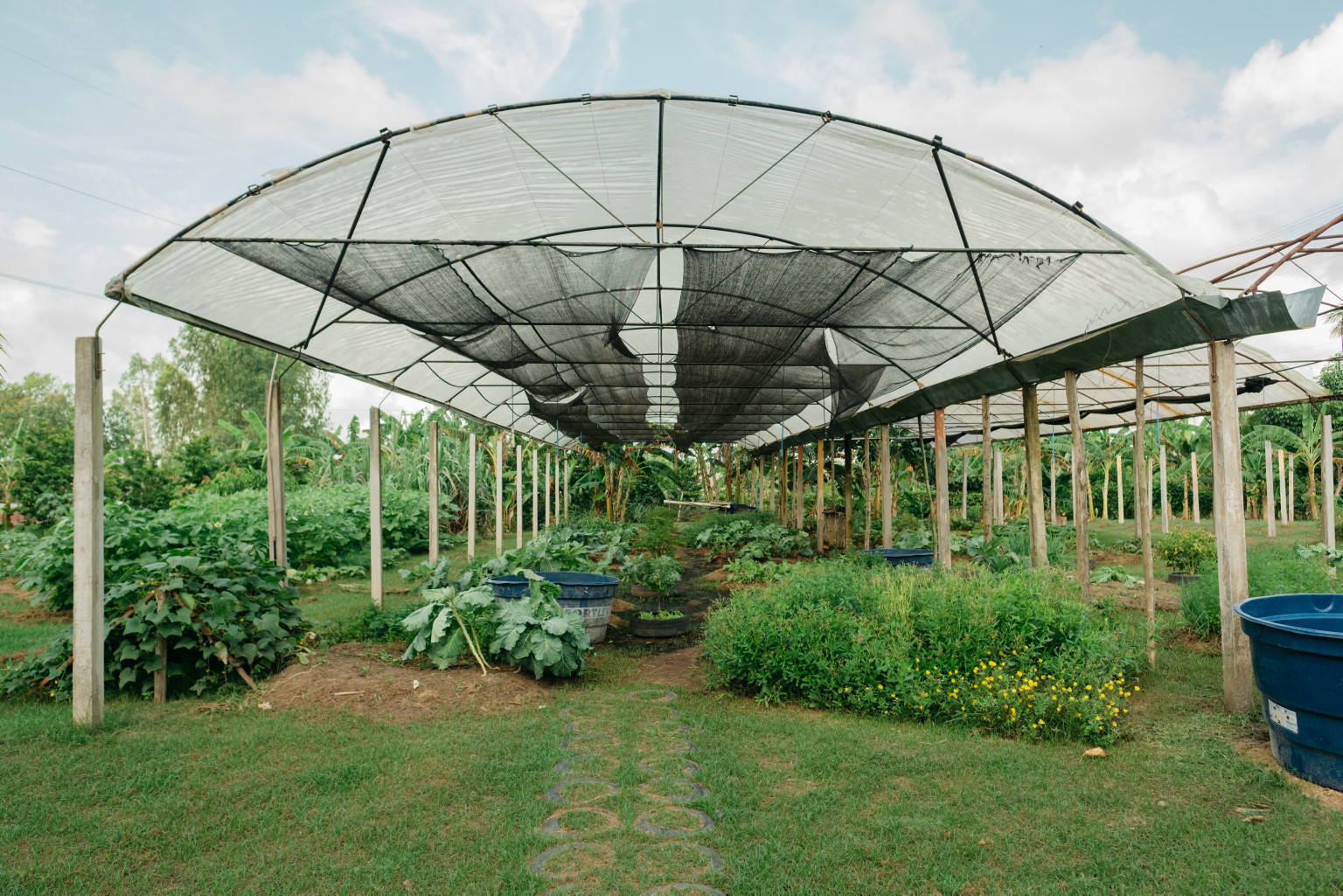 Images of female teachers and students participating in the program learning and teaching the preparation of food produced in the greenhouse. Picture of the greenhouse with vegetables showing.