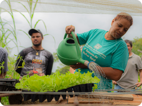 Atuação do projeto no campo