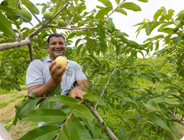 Produtor rural com fruta